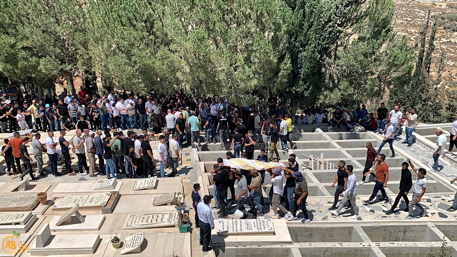 WhatsApp Image 2023-07-12 at 7.13.02 PM.jpeg